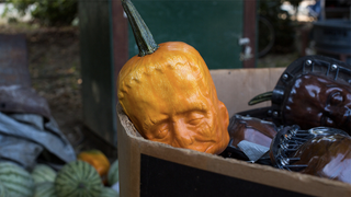 Illustration for article titled Behold, the Frankenpumpkin: A pre-made Jack-O'-Lantern